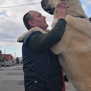 Muž 50 rokov Prievidza
